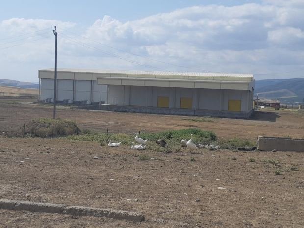 İsmayıllı Quba Xəlili Soyuducu 8180 m2 – Cold storage, photo 1
